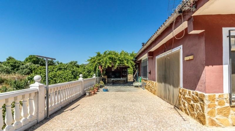 Valencia - Carlet - 590m2