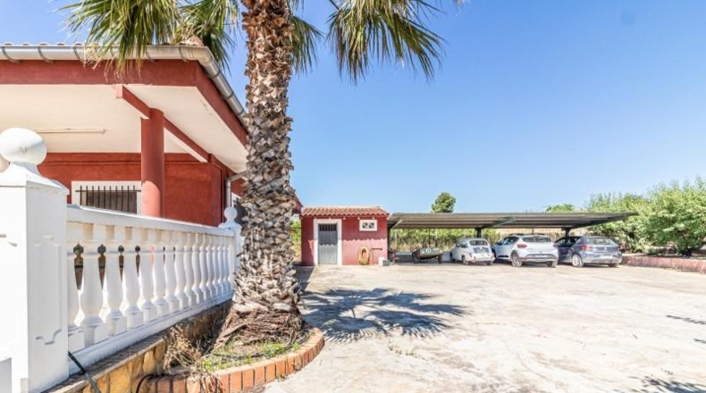 Valencia - Carlet - 590m2