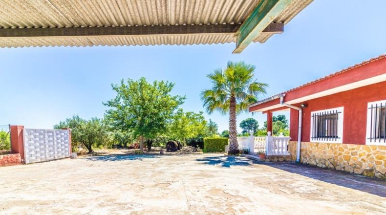 Valencia - Carlet - 590m2