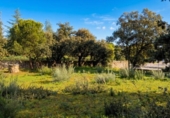 Sòl urbà en venda a la España, Galapagar, ref.: TR411486 foto