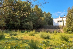 Galapagar 900&nbsp;m²
