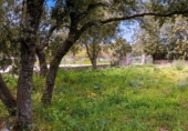 Sòl urbà en venda a la España, Galapagar, ref.: TR411486 foto