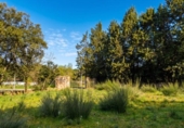 Sòl urbà en venda a la España, Galapagar, ref.: TR411486 foto