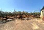 Chalet independiente con terreno en venta en la España, Cartagena, ref: TR411495 foto