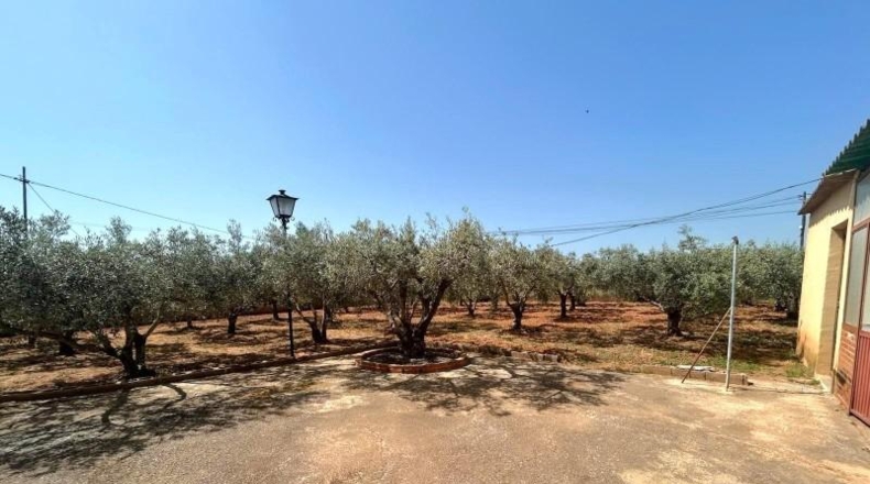 Murcia - Cartagena - 162m2