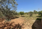 Chalet independiente con terreno en venta en la España, Cartagena, ref: TR411495 foto