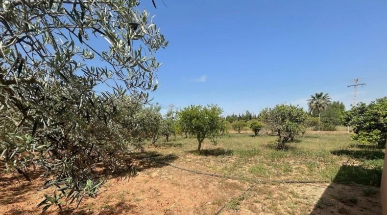 Murcia - Cartagena - 162m2