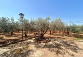 Chalet independiente con terreno en venta en la España, Cartagena, ref: TR411495 foto