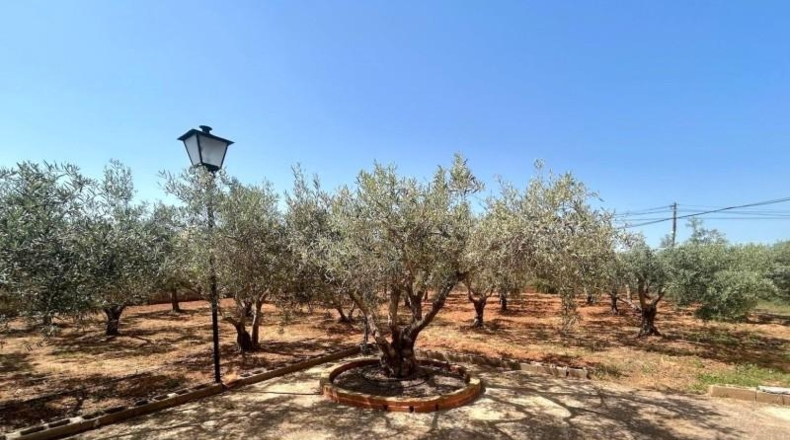 Murcia - Cartagena - 162m2
