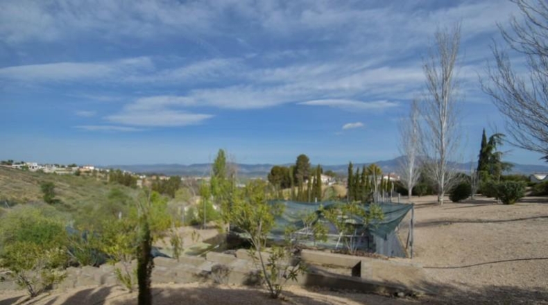 Granada - Moraleda de Zafayona - 3848m2