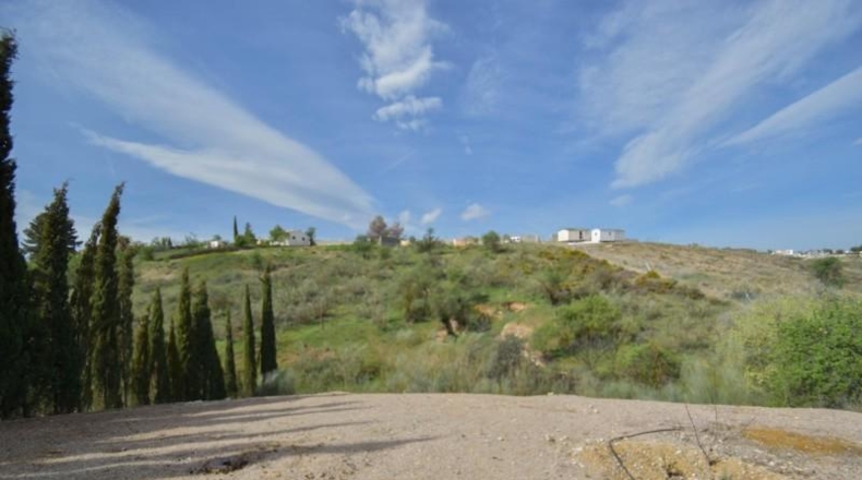 Granada - Moraleda de Zafayona - 3848m2