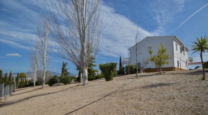 Granada - Moraleda de Zafayona - 3848m2