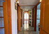 Chalet independiente con terreno en venta en la España, Guadalajara, ref: TR411487 foto