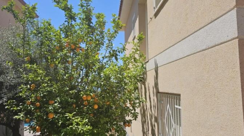 Tarragona - Calafell - 458m2