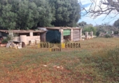 Загородный дом с участком на продажу в городе Ciutadella de Menorca Фото