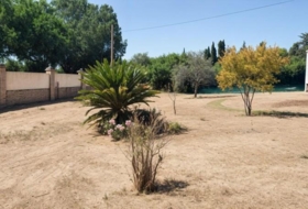 Palomares del Río 2700&nbsp;m² 