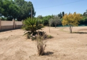 Xalet independent amb terreny en venda a la España, Palomares del Río, ref.: TR411522 foto