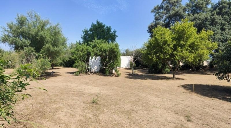 Sevilla - Palomares del Río - 2700m2