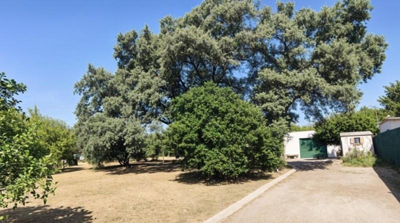 Sevilla - Palomares del Río - 2700m2