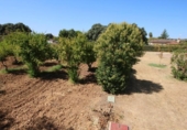 Casa de camp amb terreny en venda a la España, Badajoz, ref.: TR340354 foto