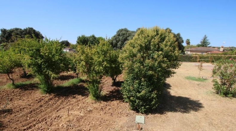 Badajoz - Badajoz - 4250m2