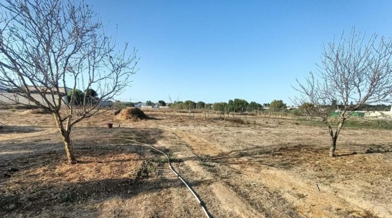 Cádiz - Chiclana de la Frontera - 4870m2