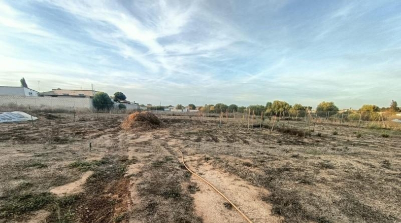 Cádiz - Chiclana de la Frontera - 4870m2