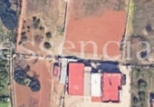 Chalet independiente con terreno en venta en la España, Villalonga, ref: TR411534 foto