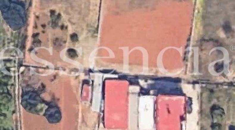 Valencia - Villalonga - 387m2