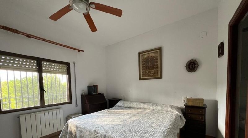 Cordova - Encinarejo de Córdoba - 257m2