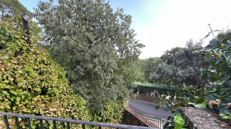 Cordova - Encinarejo de Córdoba - 257m2
