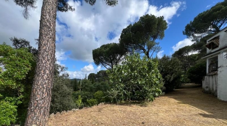 Cordova - Encinarejo de Córdoba - 257m2