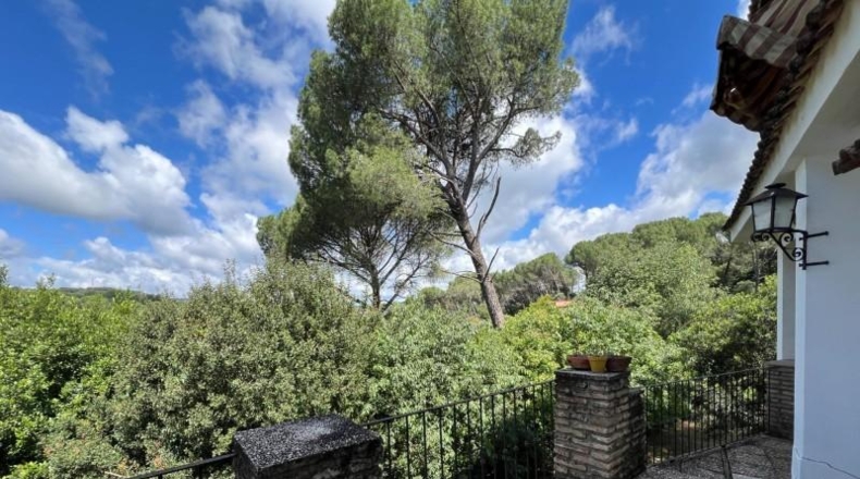 Cordova - Encinarejo de Córdoba - 257m2