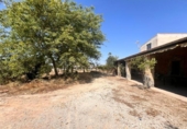 Finca rústica en venda a la España, Elx, ref.: TR314643 foto