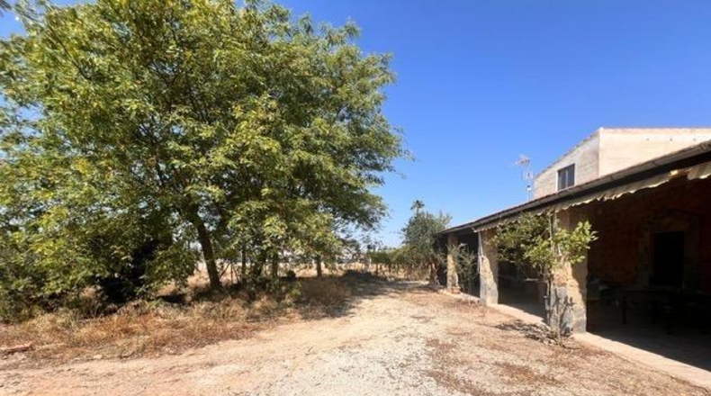 Аликанте - Elche - 13637m2