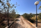 Finca rústica en venda a la España, Elx, ref.: TR314643 foto