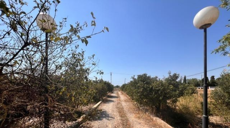Аликанте - Elche - 13637m2