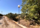 Finca rústica en venda a la España, Elx, ref.: TR314643 foto