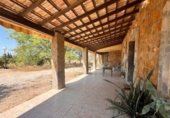 Finca rústica en venda a la España, Elx, ref.: TR314643 foto