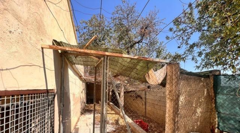 Аликанте - Elche - 13637m2