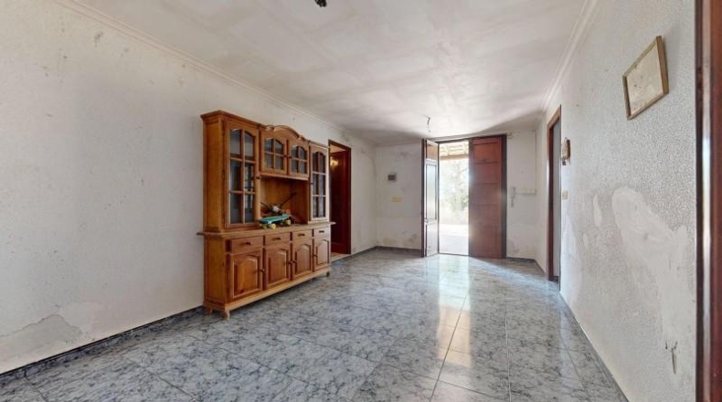 Аликанте - Elche - 13637m2