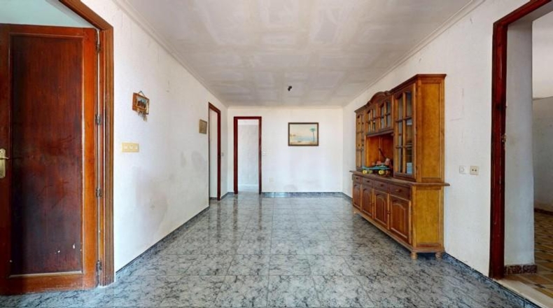 Аликанте - Elche - 13637m2