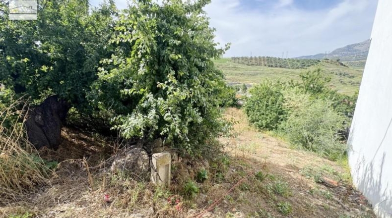 Малага - Casabermeja - 649m2