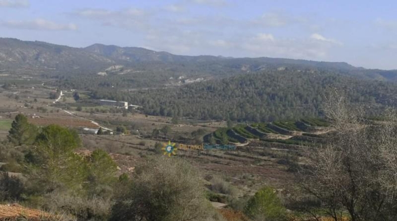 Alicante - Adsubia - 99264m2