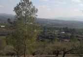 Casa de camp amb terreny en venda a la España, l'Atzúbia, ref.: TR320728 foto