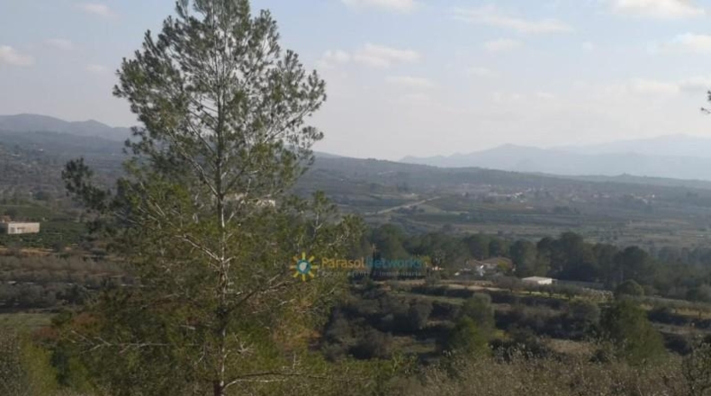 Alicante - Adsubia - 99264m2