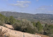 Casa de camp amb terreny en venda a la España, l'Atzúbia, ref.: TR320728 foto