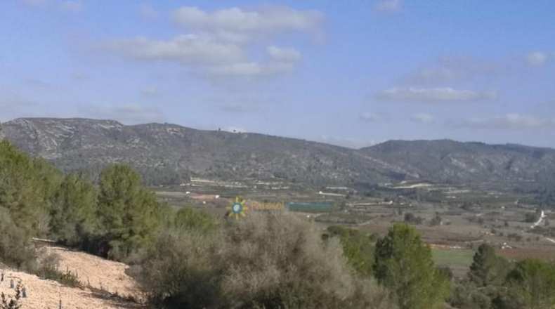 Alicante - Adsubia - 99264m2