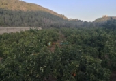 Casa de camp amb terreny en venda a la España, l'Atzúbia, ref.: TR320728 foto