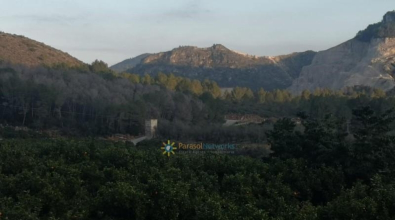 Alicante - Adsubia - 99264m2